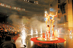 Beijing Wuqiao Acrobatics One Day Tour